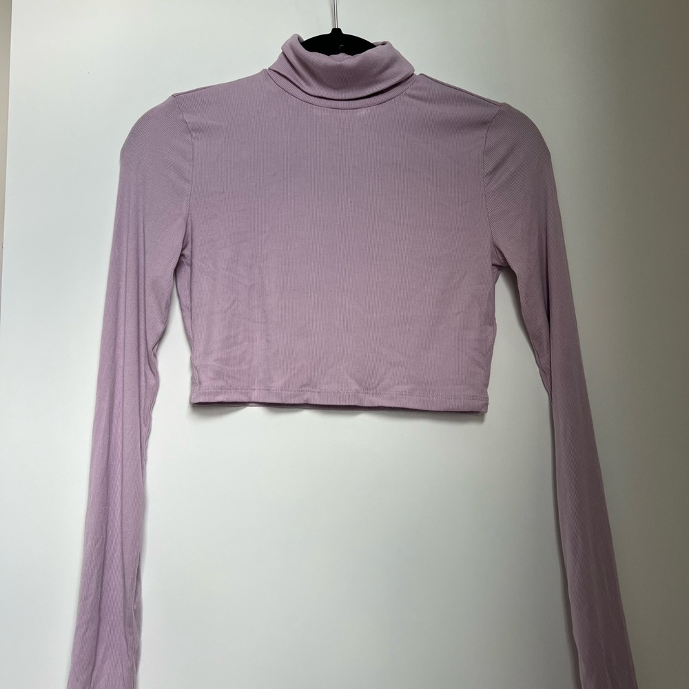 Aritzia Cropped Turtleneck Top